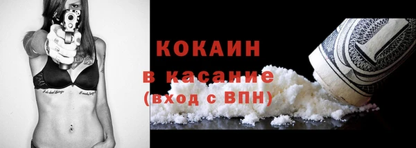 мет Бородино