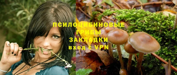 мет Бородино